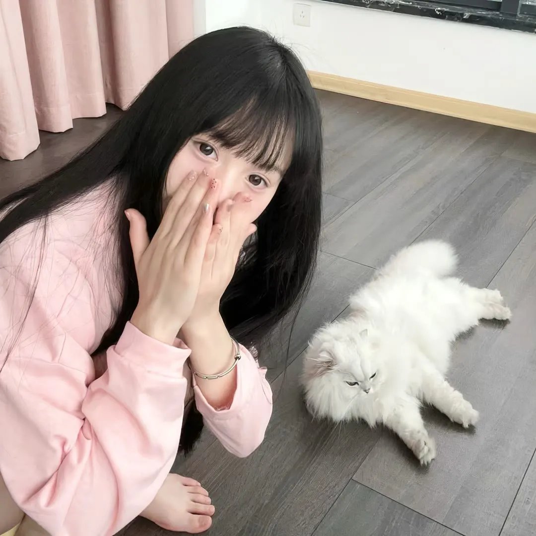 少年同盟第二季